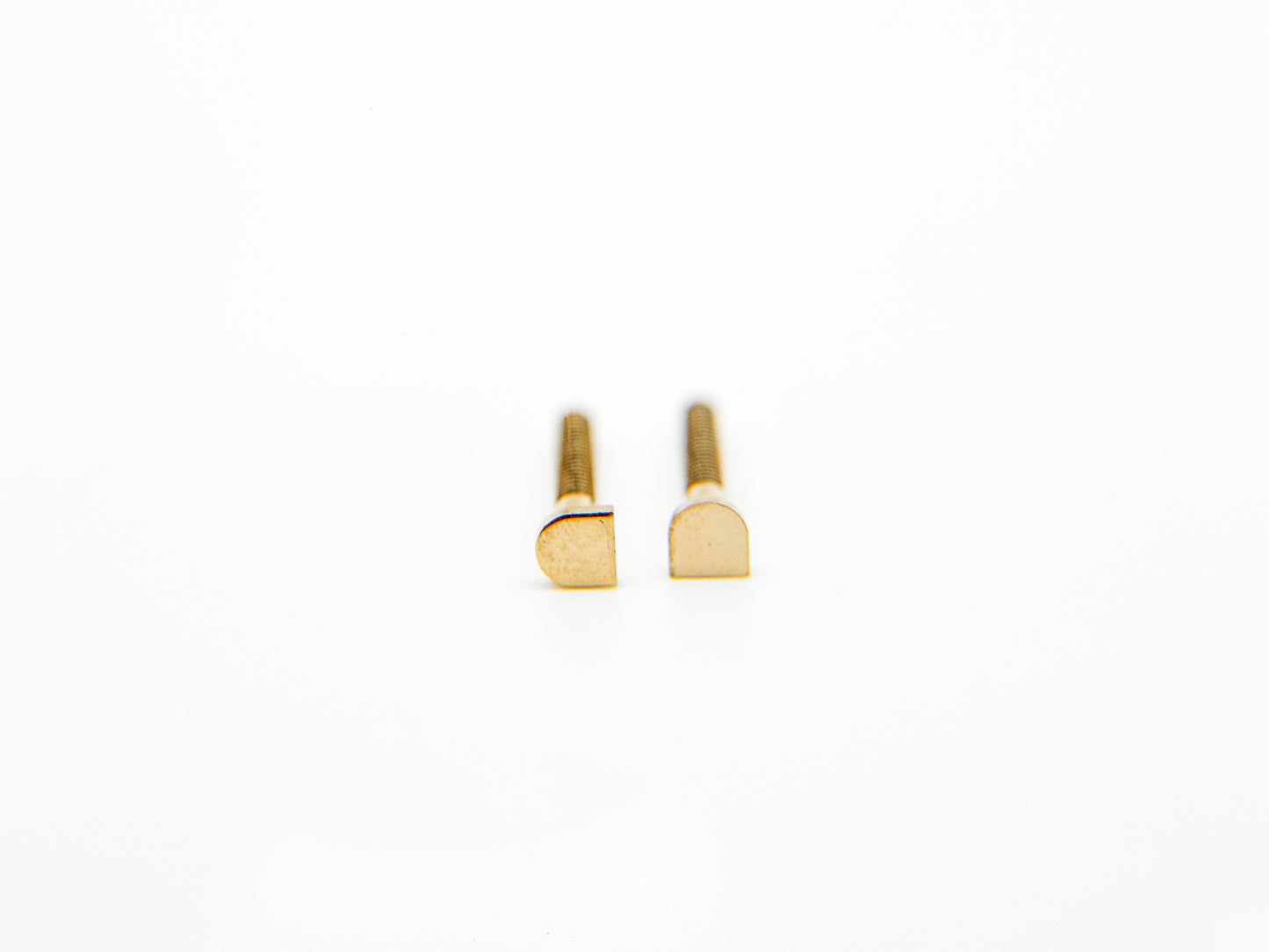 Cartier Screws – Gold (2 pcs, Half-Round Head)