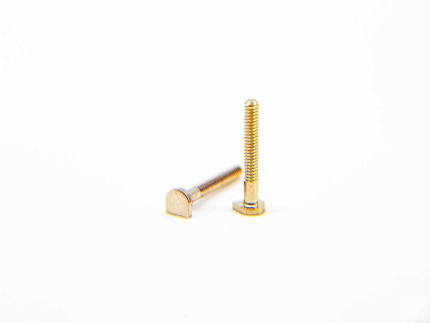 Cartier Screws – Gold (2 pcs, Half-Round Head)